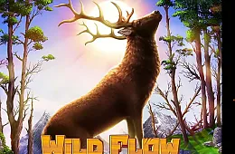 WiLD FLOW slot