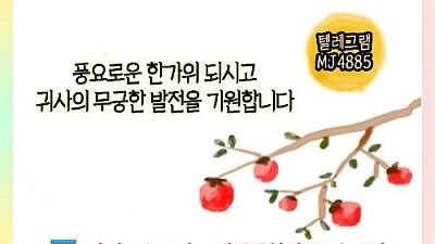 카지노&토지노 MJ솔루션 ❤️행복이 넘치는 추석연휴 보내세요❤️