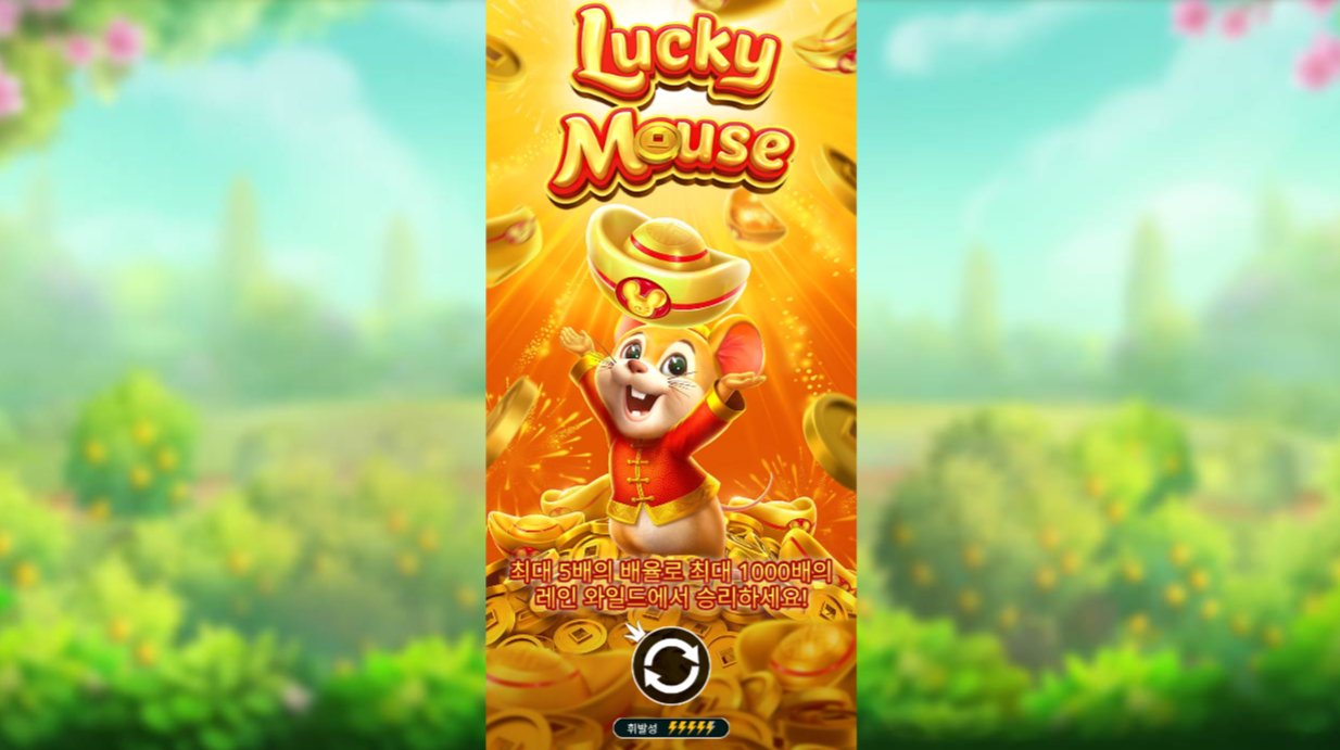 본문 첫번째 이미지