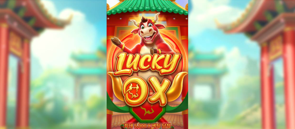 본문 첫번째 이미지