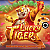 Lucky Tiger