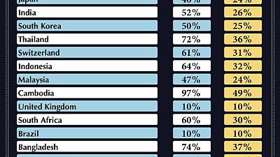 미국 관세의 역설