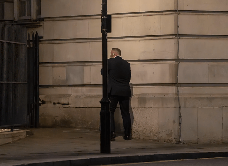 노상방뇨하는 루니