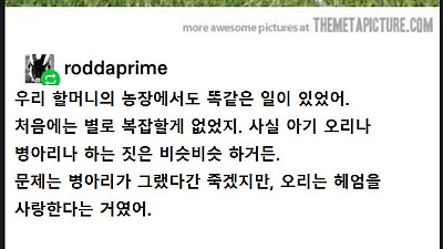 낳은 정보단 기른 정이라더니