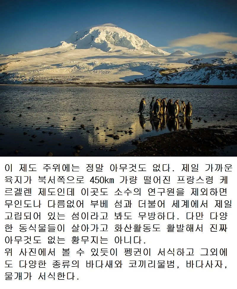 펭귄도 피해갈 수 없었던 트럼프의 관세철퇴
