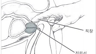 직장에서 기분 좋아지는 상황