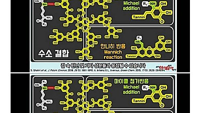 일본에도 알려진 한류음식조합