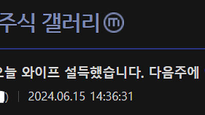 와이프 설득해서 엔비디아 몰빵했다는 미국 주식 갤러리 유저...jpg