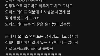 형들 오피스 와이프 있어??