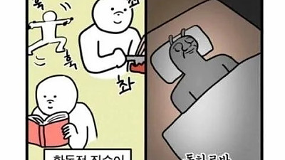 집순이도 차이가 있다.jpg