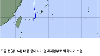 민폐만 끼치고 사라진 거지같은 종다리