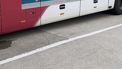 어이없는데 좀 귀여운 강릉시 홍보문구.jpg