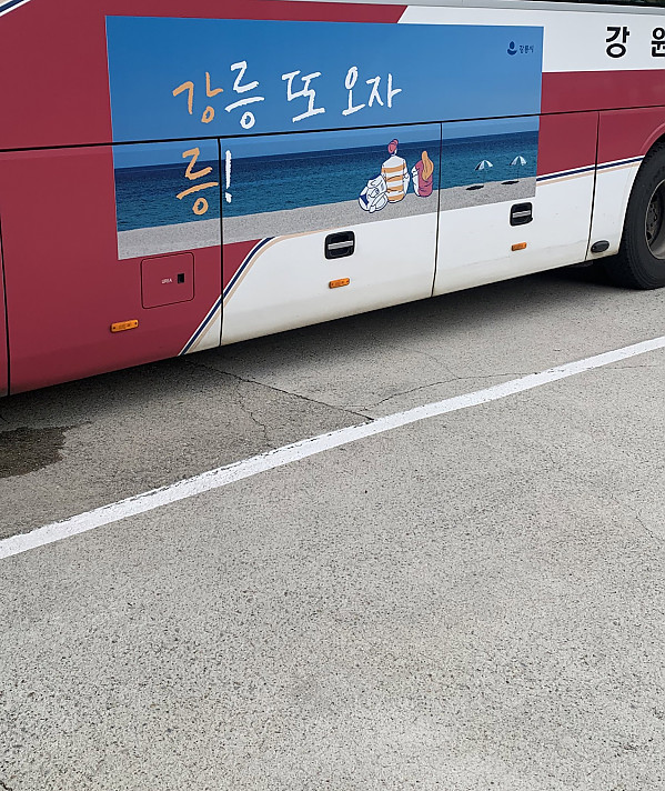 어이없는데 좀 귀여운 강릉시 홍보문구.jpg