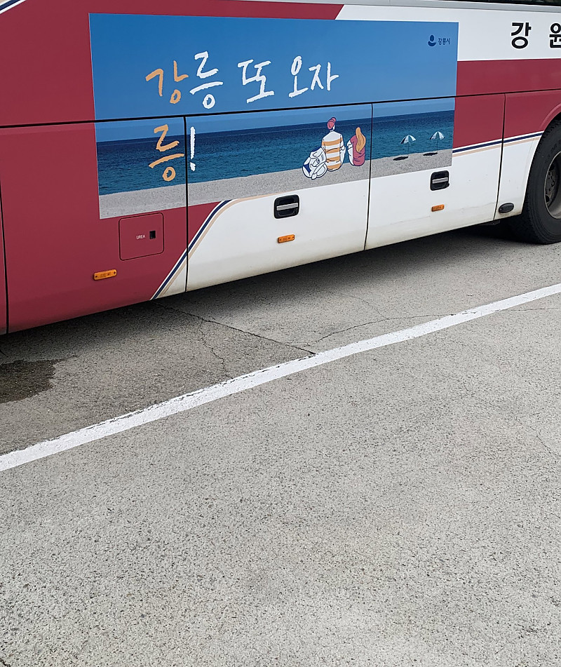 어이없는데 좀 귀여운 강릉시 홍보문구.jpg