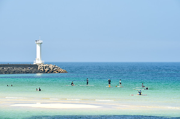 막상 떠나보낼 생각하니 아쉬운새끼.jpg