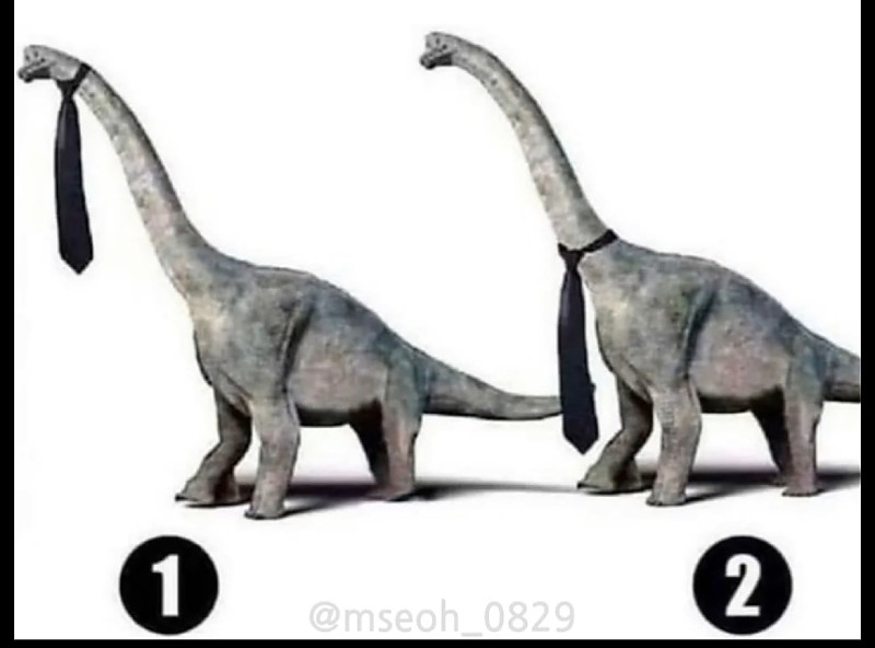 해외에서 논란 중인 문제