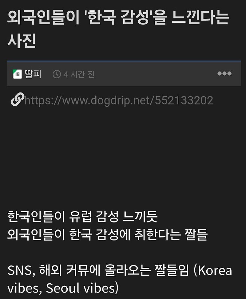 외국인에게 한국감성 느낀다는 사진