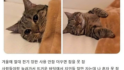 평소 몸에 열이 많은 사람들 특징