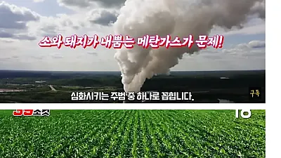 세계 최초로 방귀에 세금을 매긴다는 '덴마크'