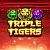트리플 타이거스™