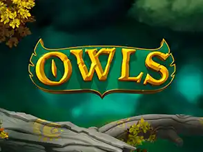 본문 첫번째 이미지