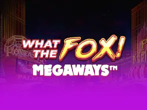 본문 첫번째 이미지