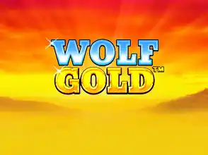 본문 첫번째 이미지