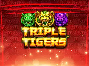 본문 첫번째 이미지